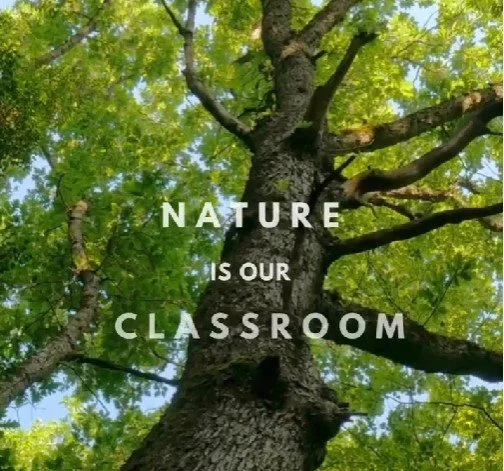 Climate Education: Greening the Curriculum